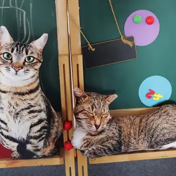 1pcs 50cm 3D Mielas Modeliavimas Katės Pliušas Pagalvės Įdaryti Minkštas Realus Gyvūnų, Kačių Žaislas Namų Dekoro pet pliušinis žaislas Gimtadienio Dovana