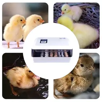 60 Kiaušiniai Inkubatoriaus Hatcher Brooder Paukščių Putpelių Inkubatorius, Viščiukų Perykla Inkubatorius Paukščių Hatcher Turner, Automatinė Ūkio Įrankiai