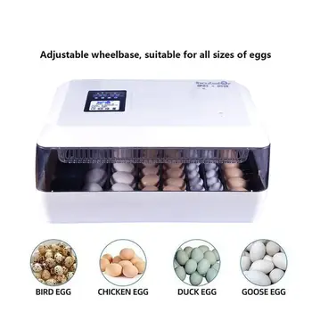 60 Kiaušiniai Inkubatoriaus Hatcher Brooder Paukščių Putpelių Inkubatorius, Viščiukų Perykla Inkubatorius Paukščių Hatcher Turner, Automatinė Ūkio Įrankiai