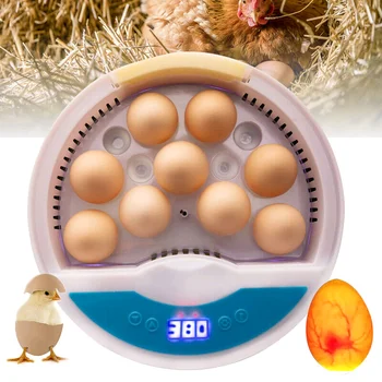 Kiaušinių Inkubatorius Automatinė Temperatūros Kontrolė Ūkio Perykla Inkubatorius Brooder Vištienos Antis Paukštis Putpelių Brooder