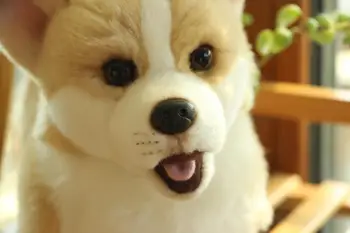 Karšto pardavimo Pliušinis žaislas corgi lėlės velso biglis modeliavimas šuo kūrybos šuo lėlės siųsti draugei mielas ypatingą gimtadienio dovana vaikams