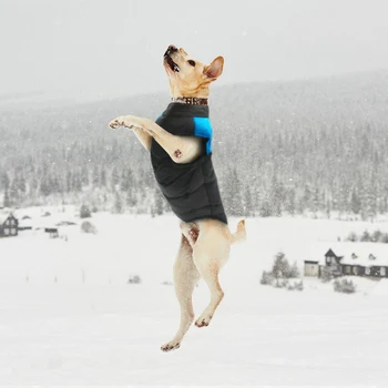 Didelių Šunų apranga Žiemą Šunų Drabužiai, Striukė Nailono Sporto Paltai Mažas Vidutinis Didelis Šuo Labradoro S-7XL